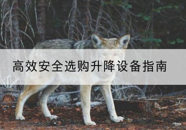 明山升降货梯厂家推荐-*安全选购升降设备指南
