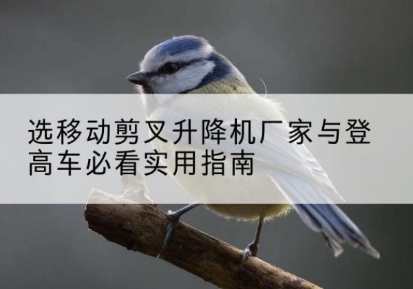 明山电动升降机厂家-选移动剪叉升降机厂家与登高车必看实用指南